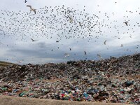 Στάση αναμονής από τον Δήμο Πατρέων για ...