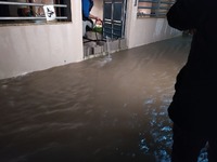 Αχαΐα: Πάνω από 80 κλήσεις για απεγκλωβι...