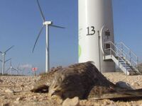 Τραμπ: Με γκάφα στο Truth Social κλείνει...