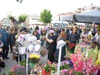 Πάτρα: Με χορούς και λουλούδια, έρχεται ...