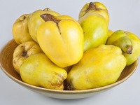 Κυδώνι: Μυστικά μαγειρέματος για έναν πρ...