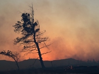 Φωτιές: Σε πύρινο κλοιό Κύθηρα, Εύβοια, ...