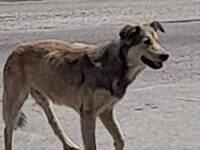 Πάτρα: Το έσκασε και τον ψάχνουν- Μπορεί...