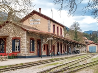 Χριστούγεννα στην Αχαΐα: Στο 90% οι προ-...