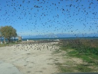 "Μαύρισε" ο ουρανός στην Κάτω ...