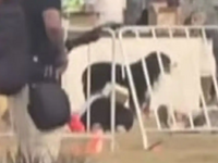 Σίδνεϊ: Ο πιστός σκύλος που έμεινε δίπλα...