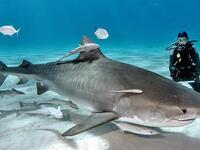 Παραλίες: Αυτές είναι οι δέκα πιο επικίν...