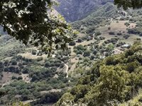 Μπόσι Καλαβρύτων: Τάμπλετ έχει, δρόμους,...