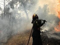 Πολύ υψηλός κίνδυνος πυρκαγιάς την Τρίτη...