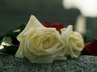 Πέθανε 49 ημέρες μετά τον θάνατο της δίδ...