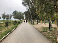 Νότιο Πάρκο