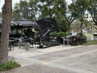 Πάτρα: Πτώσεις δέντρων και αιωρούμενα αν...