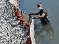 Νεκρά ψάρια στον Βόλο: Τα  4 μέτρα στήρι...