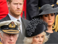 Κλάδος ελαίας από τον Κάρολο -Η κίνηση μ...