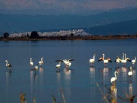 Σε επιφυλακή ο Φορέας Διαχείρισης Αμβρακ...