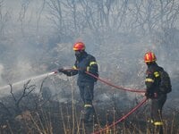 Βελιτσές: Φωτιά σε δασική έκταση- Επιχει...