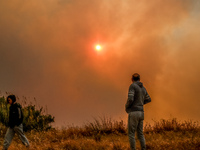 Φωτιά στο Σχινό: Νύχτα θρίλερ – Μαίνεται...