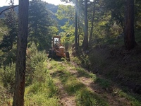 Καθαρίστηκε ο αγροτικός δρόμος από τον Α...