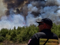 Μεγάλη φωτιά στο Σοφικό Κορινθίας - Εκκε...