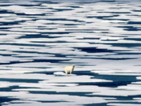 Κλιματική αλλαγή: Οι βασικοί κίνδυνοι γι...