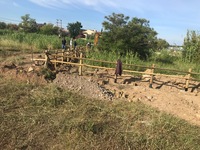 Πάτρα: Προστατεύτηκε περιοχή με αμφίβια ...