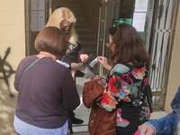 Πάτρα: Ουρές έξω από μαγαζιά, ανενημέρωτ...