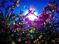 Καιρός: Άνοδος της θερμοκρασίας - Πότε έ...