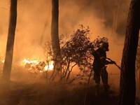 Φωτιά-Εύβοια: Καίγεται ο Δήμος Ιστιαίας-...