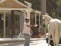 Φωτιά Βαρυμπόμπη: Άλογα έχουν βγει από Ο...