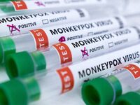 Ευλογιά των πιθήκων: Στην Ισπανία ο πρώτ...