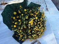 Πάτρα: Πένθος για τον Δημήτρη Δημησιάνο ...