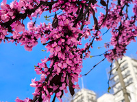  Η τάση για τον καιρό το Πάσχα - Πότε πε...