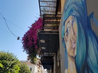 Αυτή είναι ίσως η ωραιότερη και μεγαλύτε...