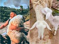 Πάτρα: Η Μέλπω που σώθηκε από τη μεγάλη ...