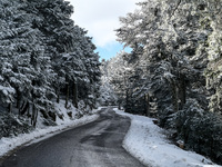 Κακοκαιρία: Διακοπή κυκλοφορίας στη λεωφ...