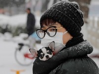 Ανατροπή! Η νέα θεωρία για την προέλευση...