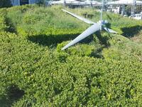 "Σταμάτησαν του -άνθινου- ρολογιού ...