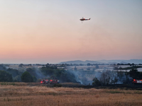 Ηλεία: Οριοθετημένες οι φωτιές σε Τραγαν...