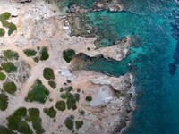 Ημέρα του Αγίου Βαλεντίνου: Ο κόλπος της...