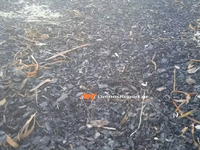 Φωτιά στον Έβρο: Αποκαΐδια έφτασαν σε πα...