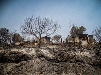 Φωτιά στη Ρόδο: Η επόμενη δύσκολη μέρα γ...