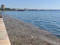 ΔΕΘ με τον Θερμαϊκό να είναι βούρκος - Α...