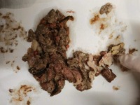 Πάτρα: Σοκαριστικό περιστατικό σε pet sh...