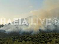 Ζαχάρω: Μεγάλη φωτιά στην περιοχή της Σμέρνας 