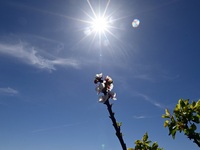 Καιρός: Σαν καλοκαίρι- Πού έδειξε 30°C τ...