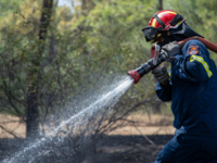 Θεσσαλονίκη: Οριοθετήθηκε η φωτιά στο Σέ...