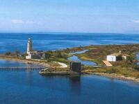 Μεσολόγγι: Βρήκαν ανθρώπινα οστά ανοιχτά...