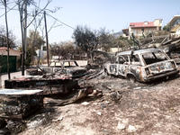 Φωτιά στην Πάρνηθα: Τέσσερις προσαγωγές ...