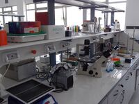 Συμπεράσματα του εργαστηρίου μοριακής βι...