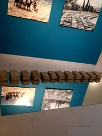 Πάτρα: Εκδήλωση για τις Παραδοσιακές τεχνικές δόμησης και επαγγέλματα στην ανθρώπινη ιστορία - φωτο Πάτρα: Εκδήλωση για τις Παραδοσιακές τεχνικές δόμησης και επαγγέλματα στην ανθρώπινη ιστορία - φωτο